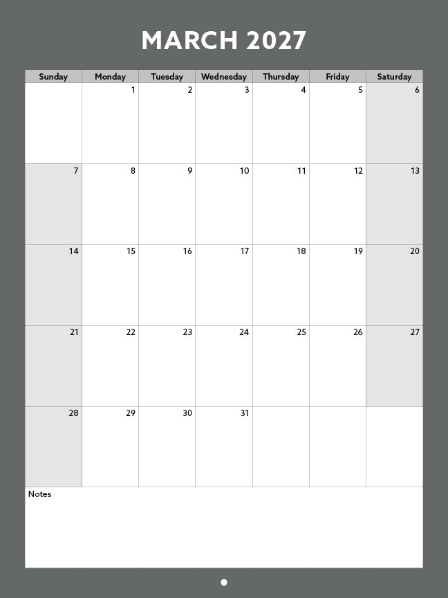2027 Toronto Streetcars & Raccoons Wall Calendar