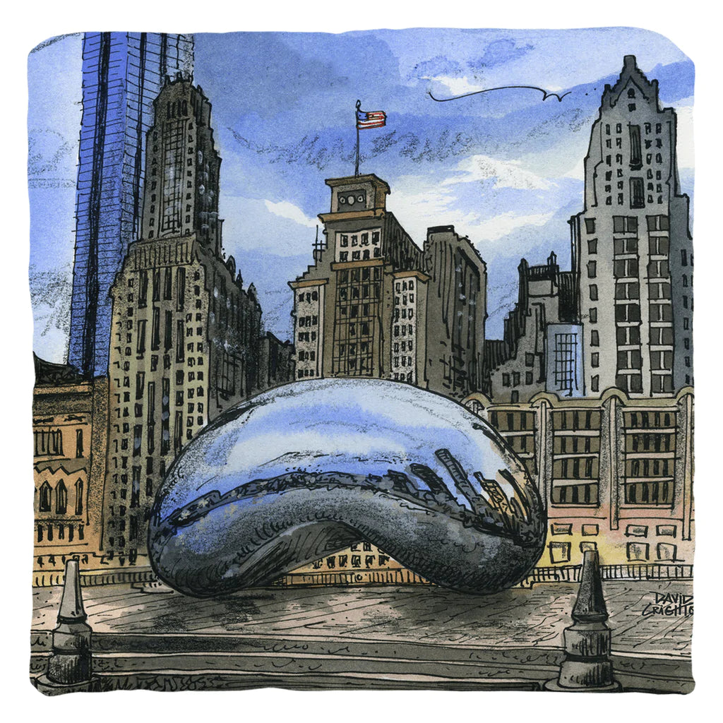 Chicago Illinois USA Art Decor Pillow | Totally Toronto Art Inc. 